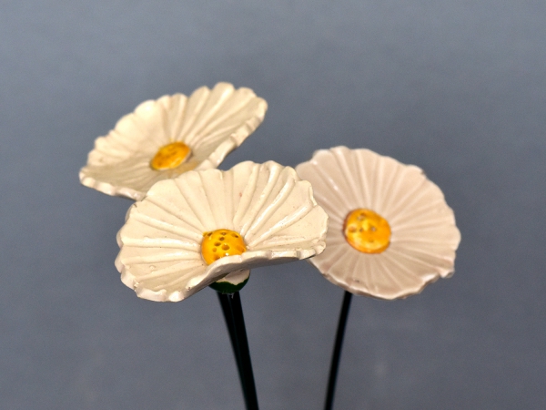 Szellőrózsa - Fehér Szellőrózsa - Fehér